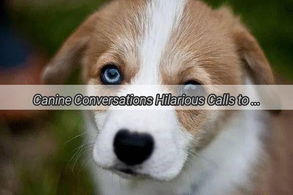 Canine Conversations Hilarious Calls to My FourLegged Buddy